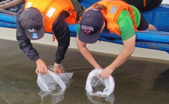 release fingerlings