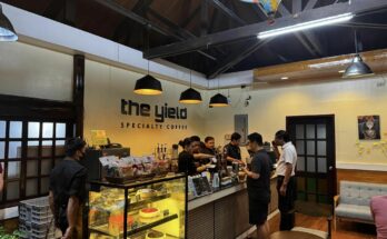 the yield specialty coffee