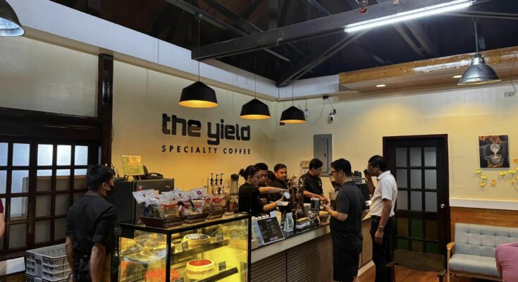 the yield specialty coffee