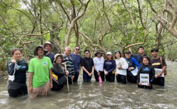 Sun Life Foundation enhances mangrove conservation in Samar and Biliran